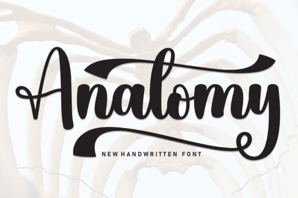 Anatomy Font: A Sweet, Friendly Handwritten Typeface for Real Brands