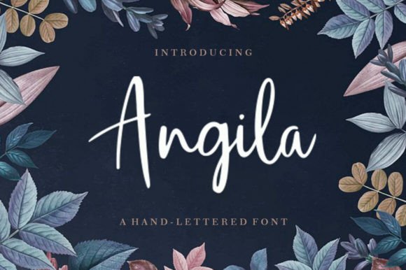 Angila Script: A Lively, Elegant Display Font for Digital Brands